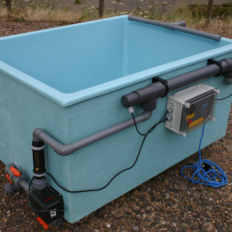 Bivalve Purification Tank