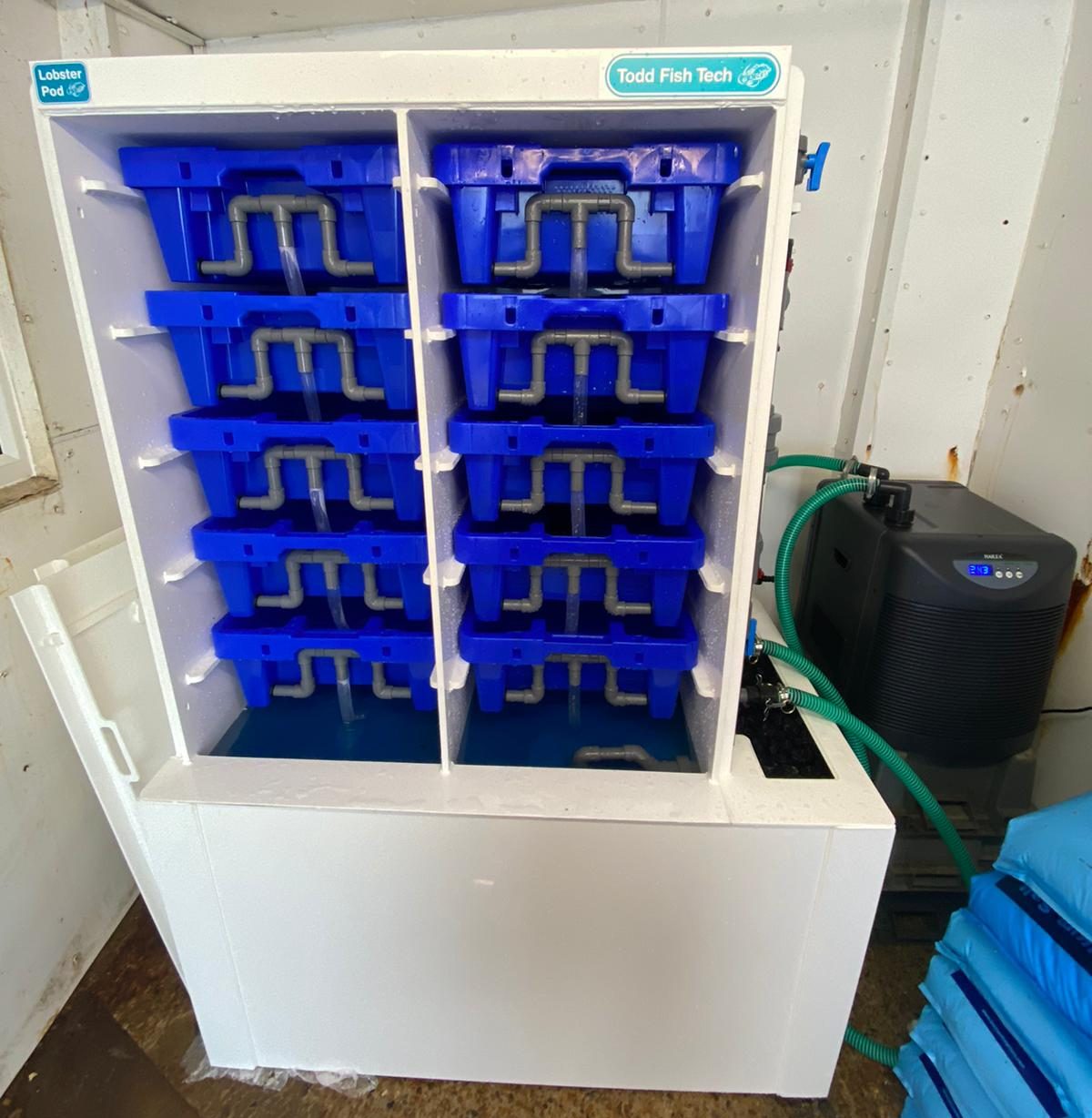 Todd Fish Tech - Case Study - Daniel Swann's Lobster Pod