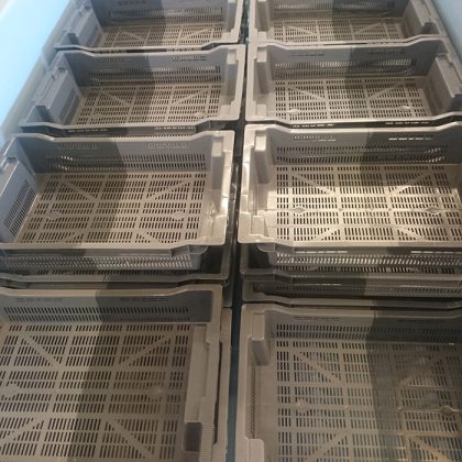 Todd Fish Tech - bivalve purification system