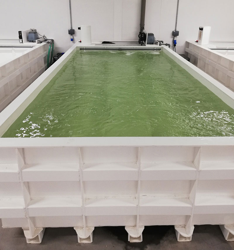 Todd Fish Tech - Crab Pod Shellfish Tank