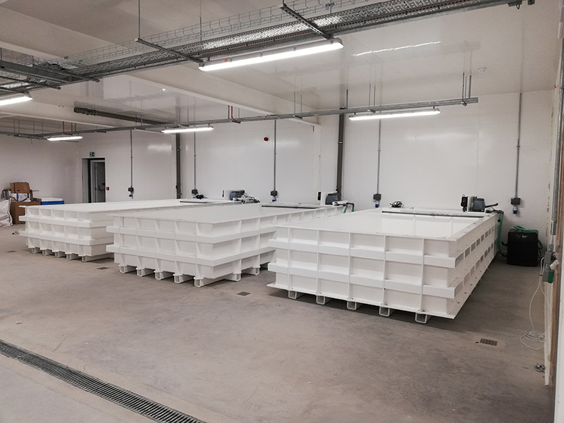 Todd Fish Tech - Crab Pod Shellfish Tank