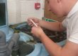 Todd Fish Tech - Water testing