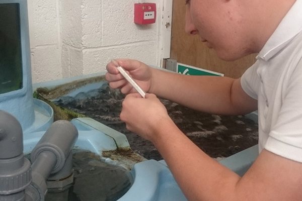 Todd Fish Tech – Water testing Todd Fish Tech - Water testing