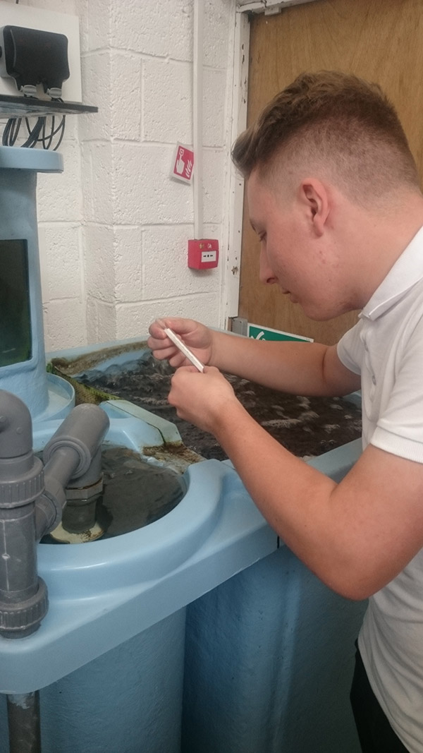 Todd Fish Tech - Water testing