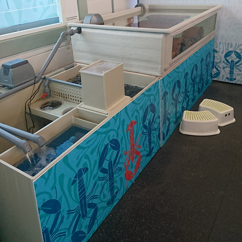 Todd Fish Tech - broodstock tank and filter