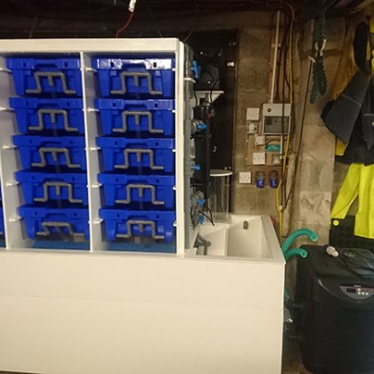 Todd Fish Tech - 150kg Lobster Pod System