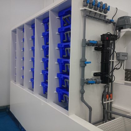 Todd Fish Tech - 300kg Lobster Pod System