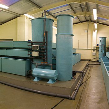 Todd Fish Tech - shellfish holding tanks in Whitby