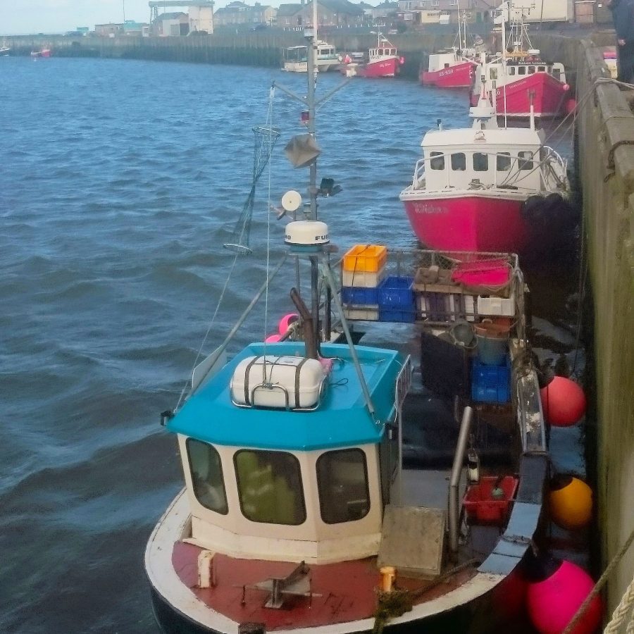 Todd Fish Tech - lobster fishing fleet UK