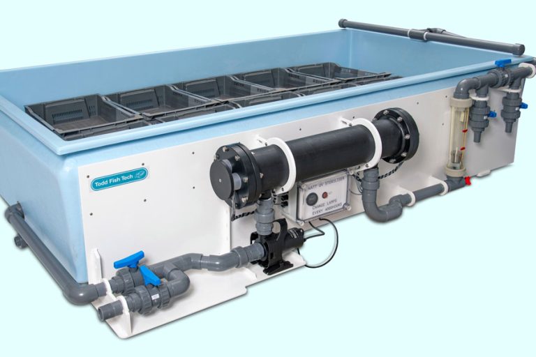 Todd Fish Tech Bivalve Purification System built to the Seafish Standard Design.