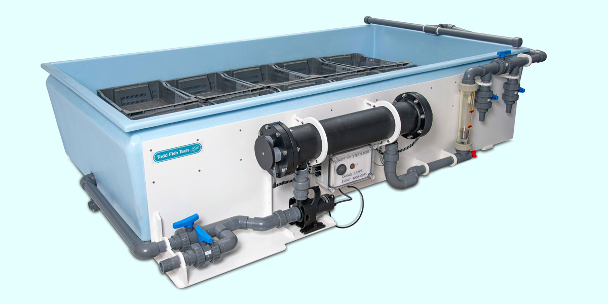 Todd Fish Tech - bivalve purification system Todd Fish Tech Bivalve Purification System built to the Seafish Standard Design.