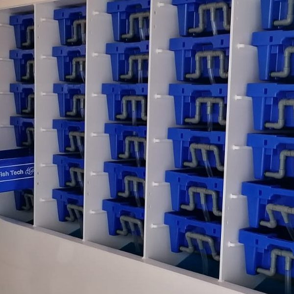 Lobster Pod Holding System - Todd Fish Tech