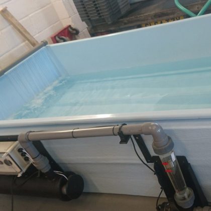 Todd Fish Tech - bivalve purification system