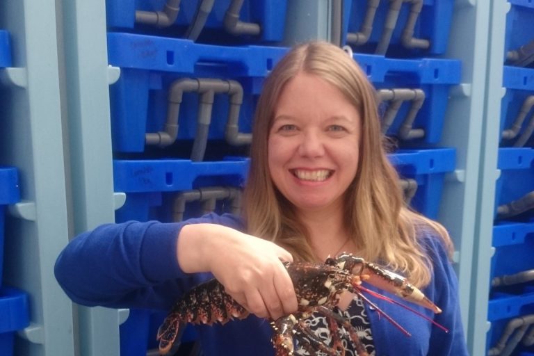 Lobster Pod is Todd Fish Tech's best selling shellfish system