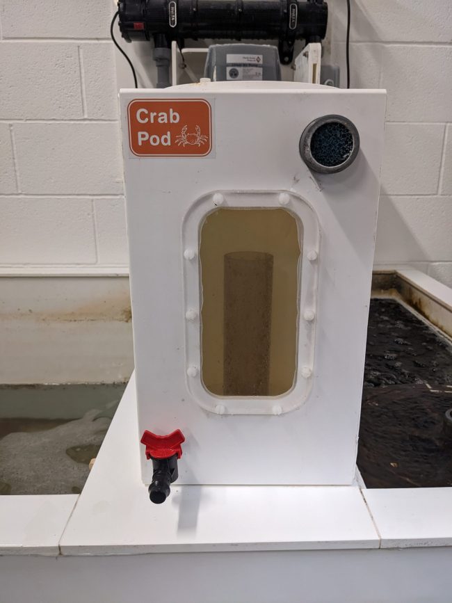 PXL_20240801_144935040 Protein Skimmer on a Crab Pod by Todd Fish Tech