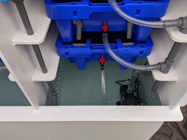 Oyster Pod Pump & sump Oyster Pod Bivalve Purification System close up of pump and sump