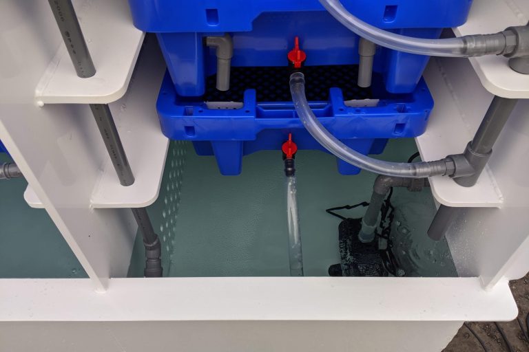 Oyster Pod Bivalve Purification System close up of pump and sump