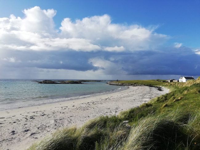 Todd Fish Tech Tiree