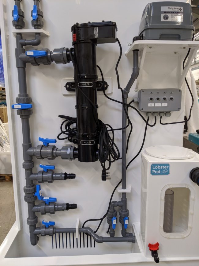 Lobster Pod filtration including an Ultraviolet Steriliser Lobster Pod filtration including an Ultraviolet Steriliser