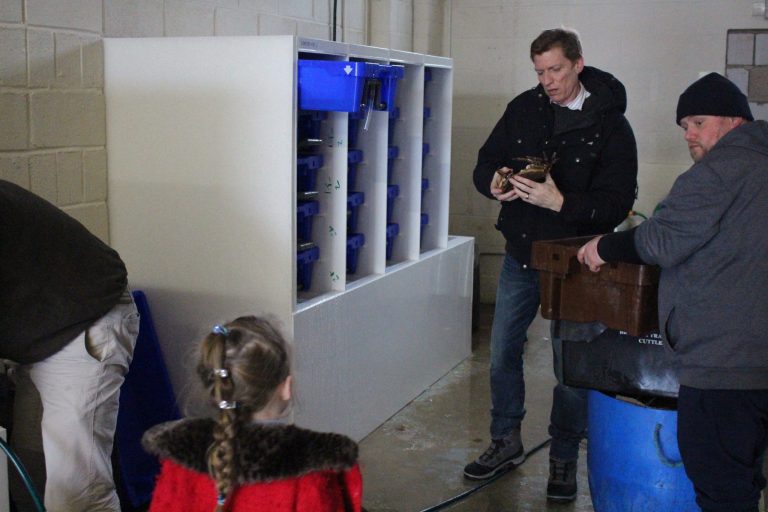 Lobster Pod in a family business