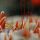 Langoustine in tubes at Todd Fish Tech